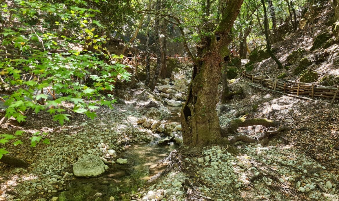 Bachlauf im Tal der Schmetterlinge